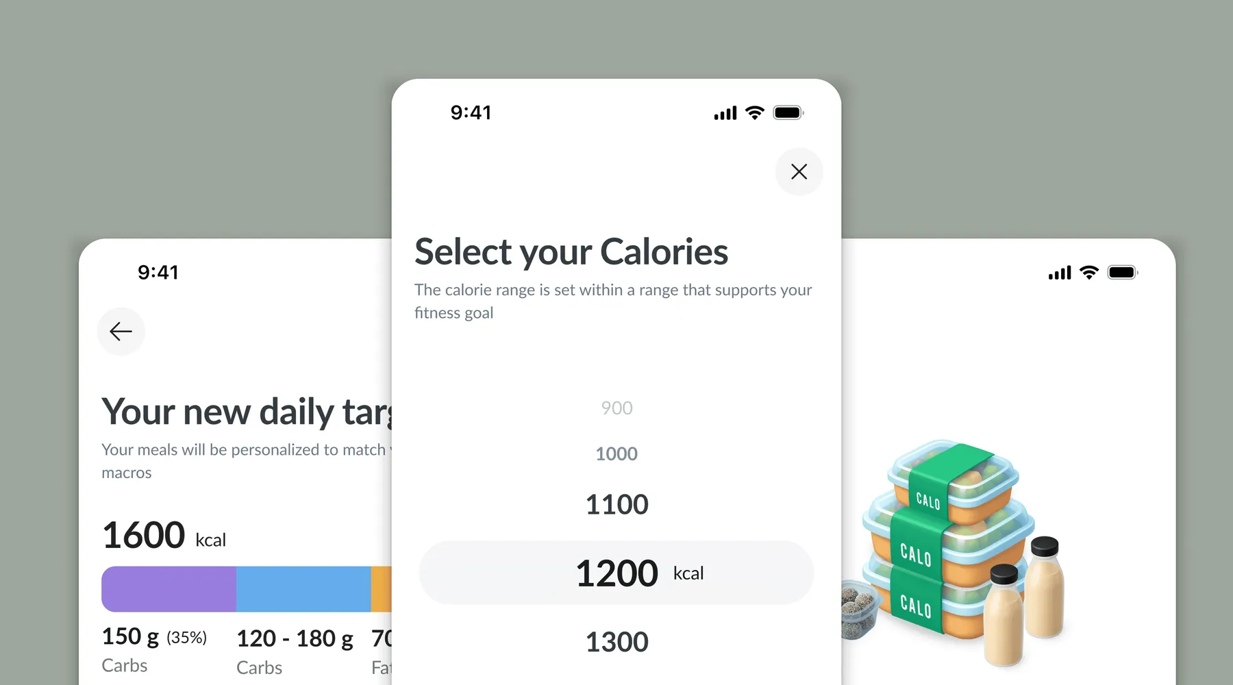 Custom macros: calorie picker and daily target